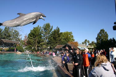 2008 Bowl Week 2008 Bowl Week